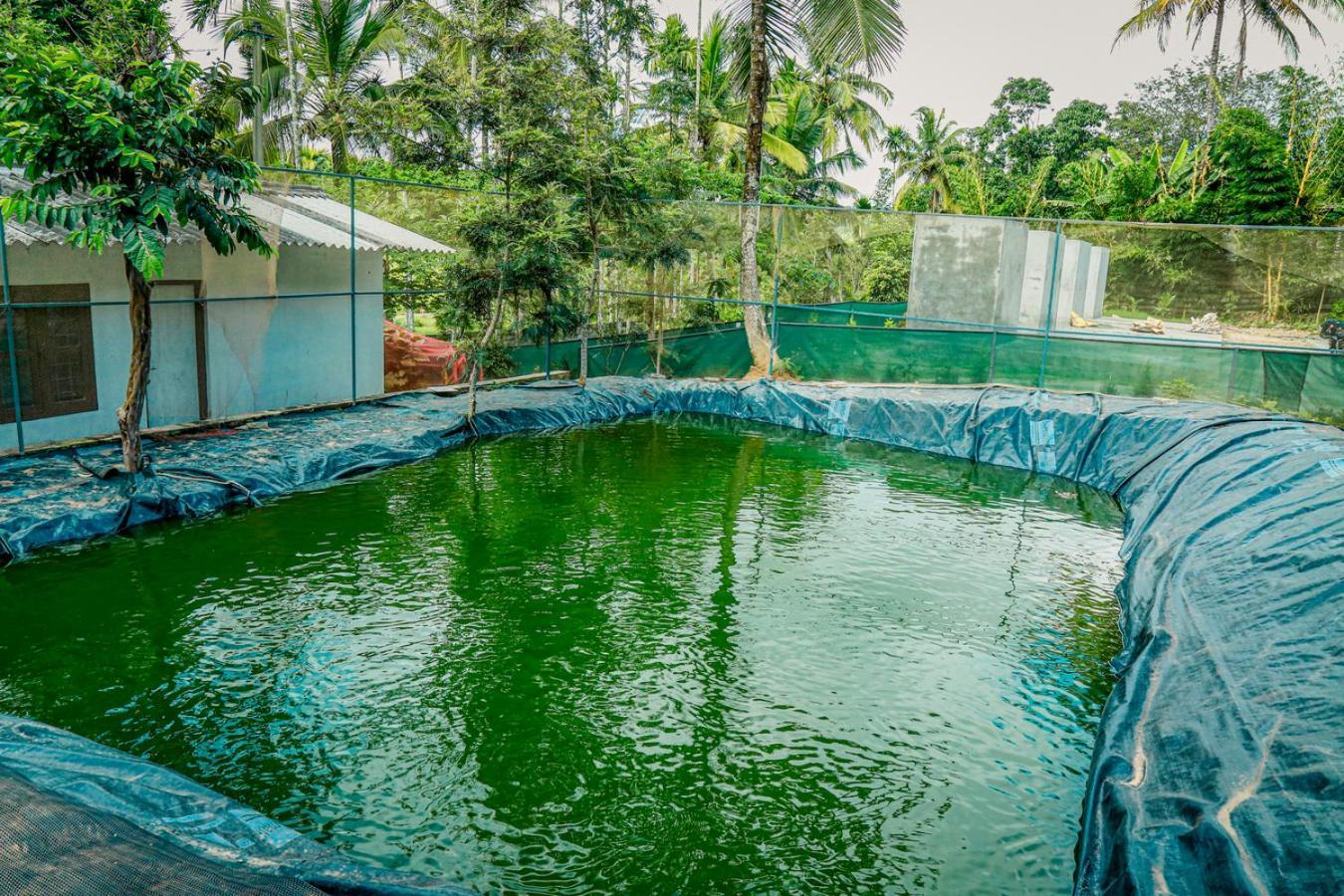 Green Aura Private Villas Sultan Bathery Eksteriør billede